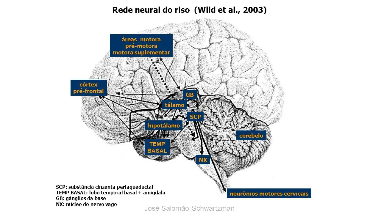 rede neural do riso